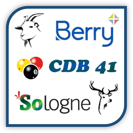 Logo Berry Sologne Billard
