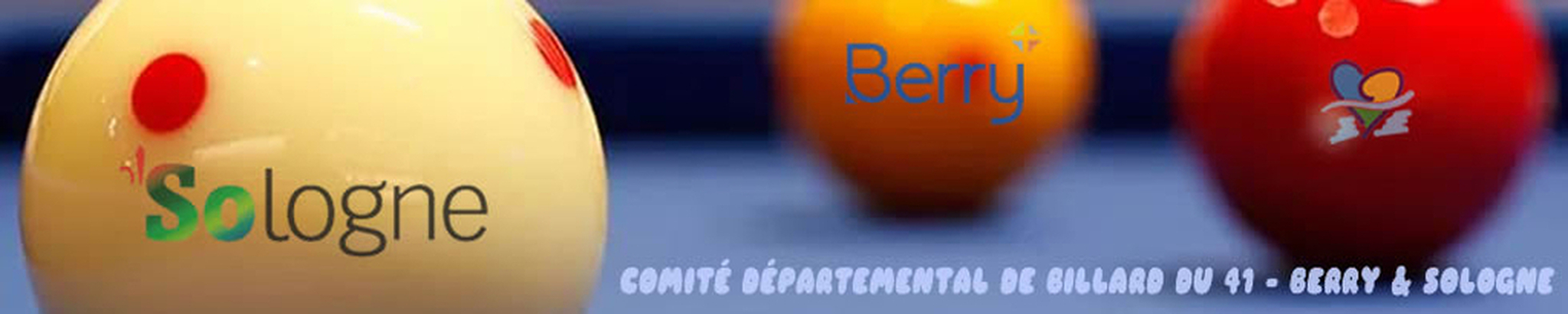 Comité Départemental de Billard Berry &amp; Sologne